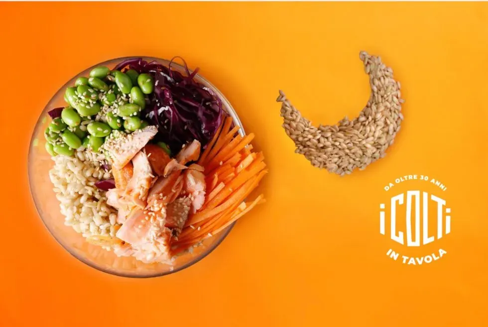 poke-origini-storia-e-diffusione