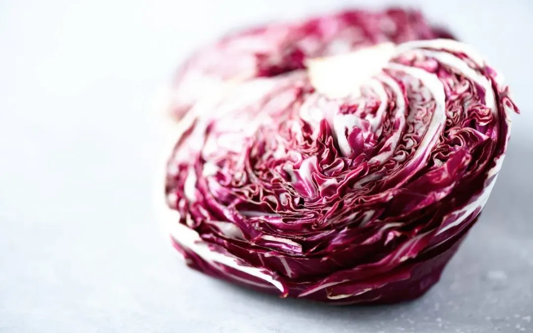 radicchio-rosso