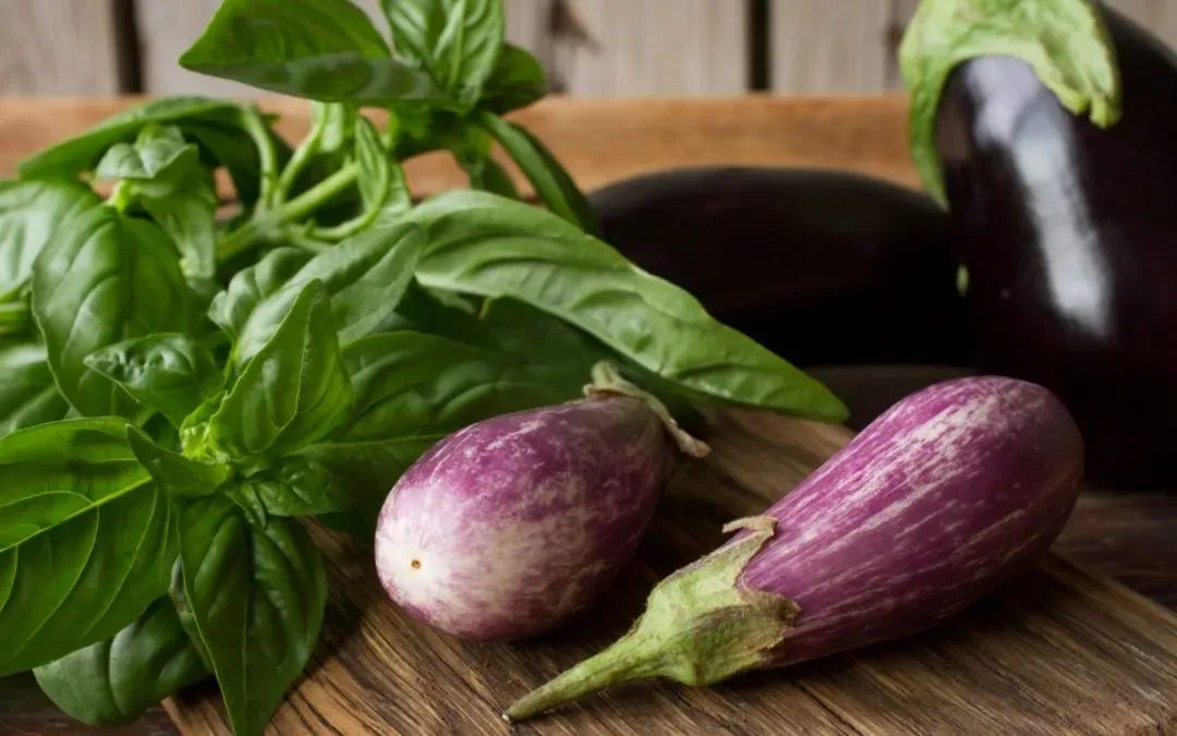 ricette-estive-con-melanzane