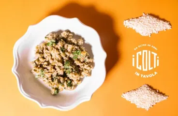 carciofi-proprieta-ricette-benefici-varieta