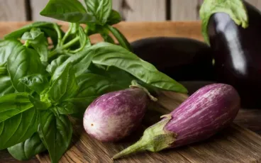 ricette-estive-con-melanzane