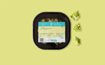 risparmio-energetico-icolti