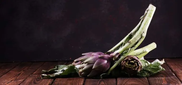 carciofi-viola