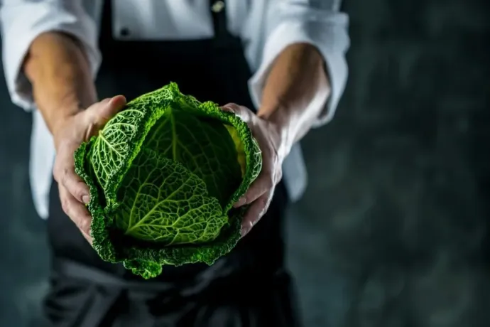 verdure-autunnali-verza